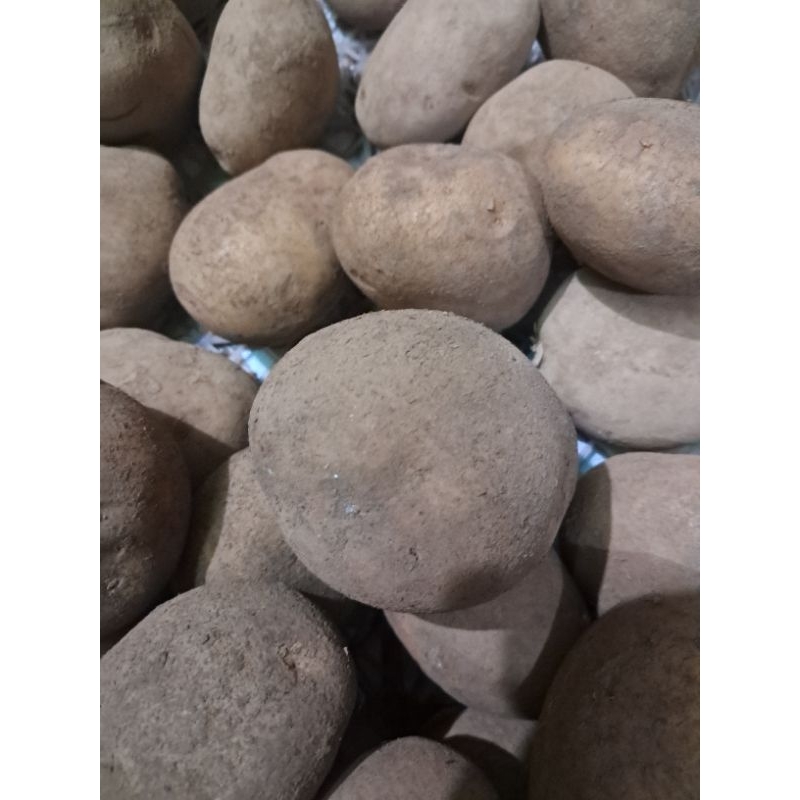 

Kentang 1/4kg