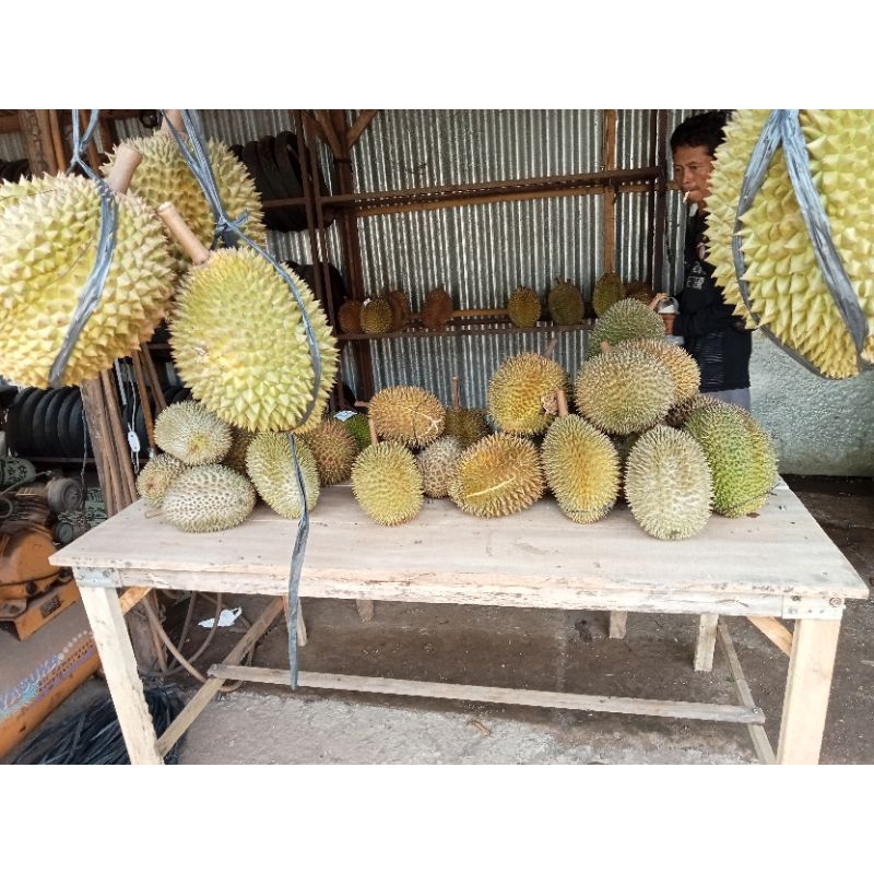 

durian lokal