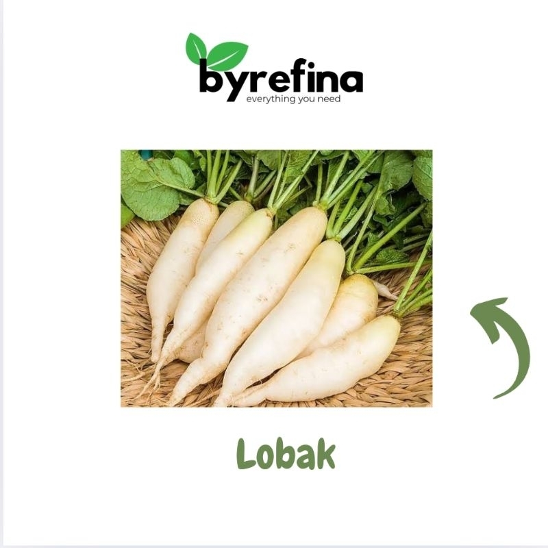 

Lobak 500gr - 1kg Surabaya / Byrefina