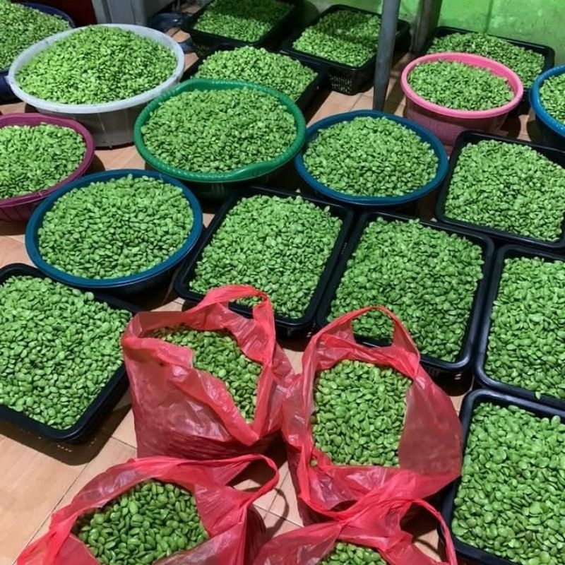 

PETE KUPAS 1 KG (GREAT B & C) - Raja Pete