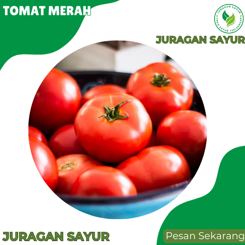 

Tomat Merah 1 kg - Tomat 1 kg Sayur Premium dan Fresh - Juragan sayur