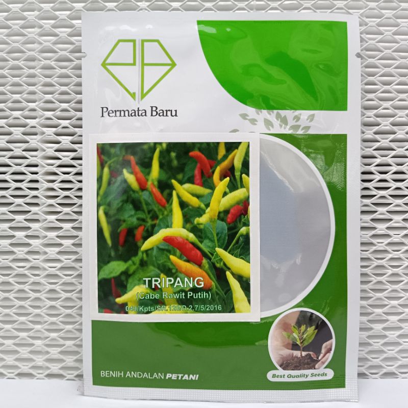 (BISA COD) 10 GRAM - BENIH BIBIT CABE RAWIT PUTIH "TRIPANG" - PERMATA BARU