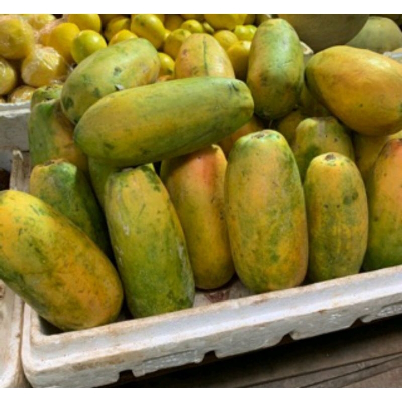 

Pepaya Fresh 1.000 gr- 1.200 gr