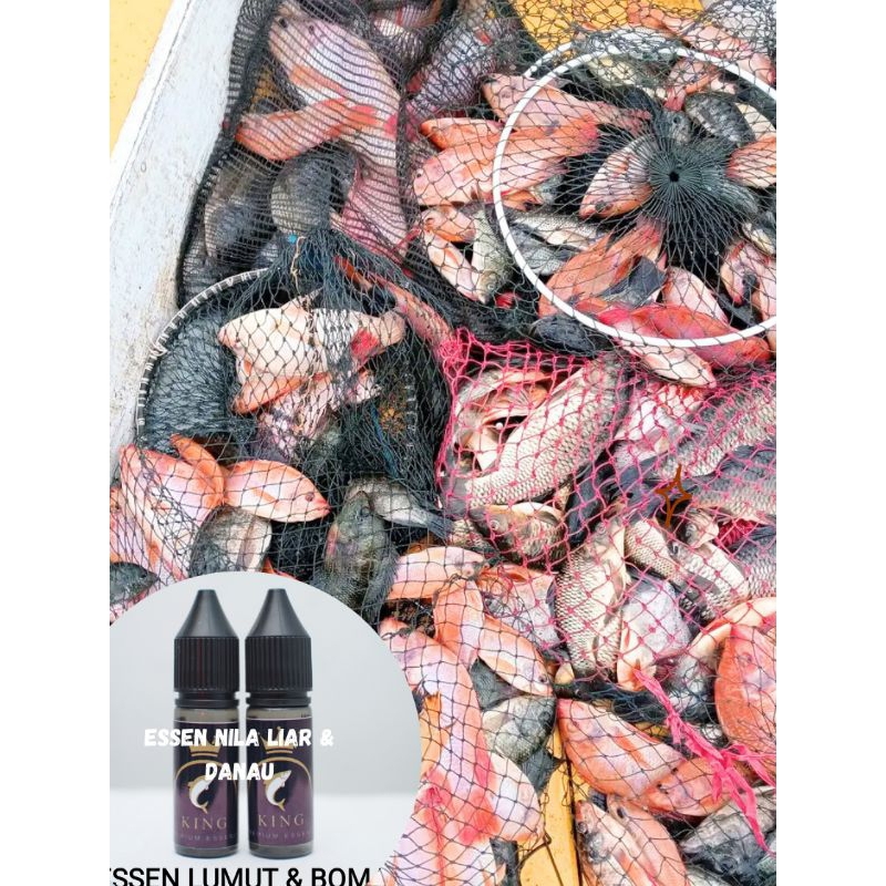 Essen ikan Nila Liar & Danau King esen Lumut Bom