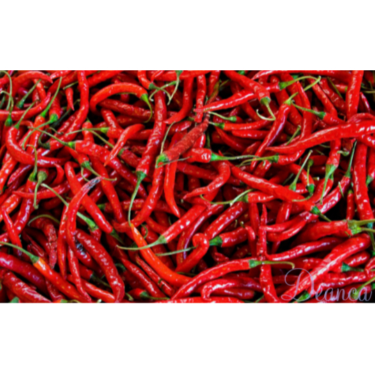 

Cabai Merah | Cabe Merah | Red Chili