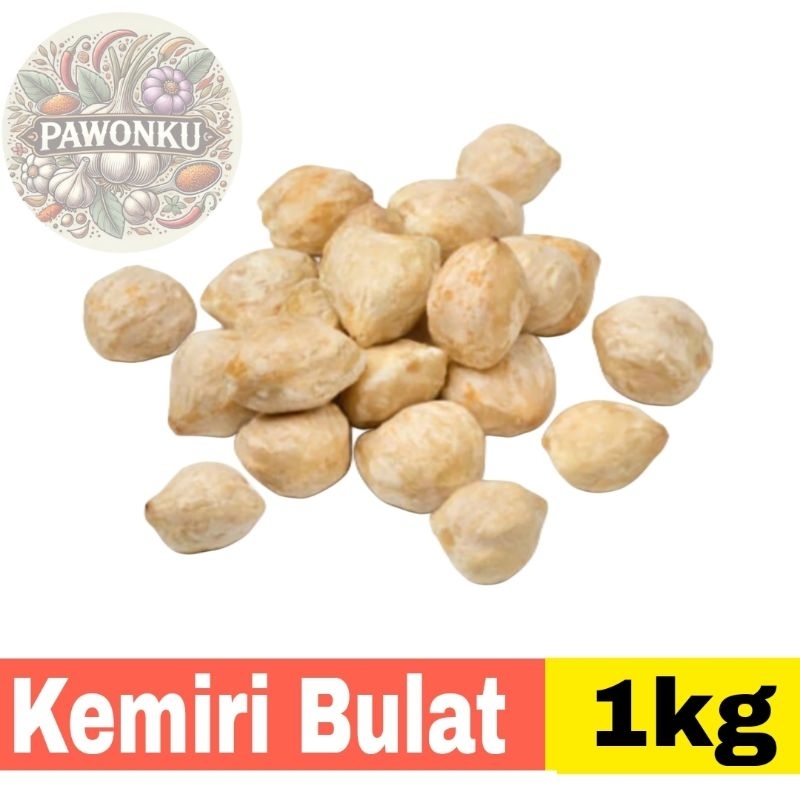 

Bumbu Dapur Biji Buah Kemiri Bulat Utuh 1kg