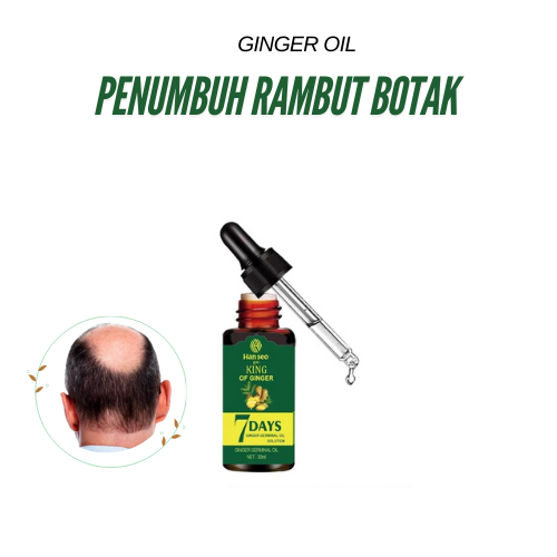 Ginger Germinal Oil Minyak Penumbuh dan Perawatan Rambut