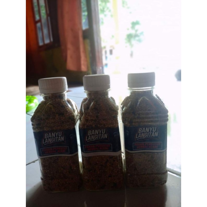 BANYU LANGITAN PAKAN PERKUTUT GACOR