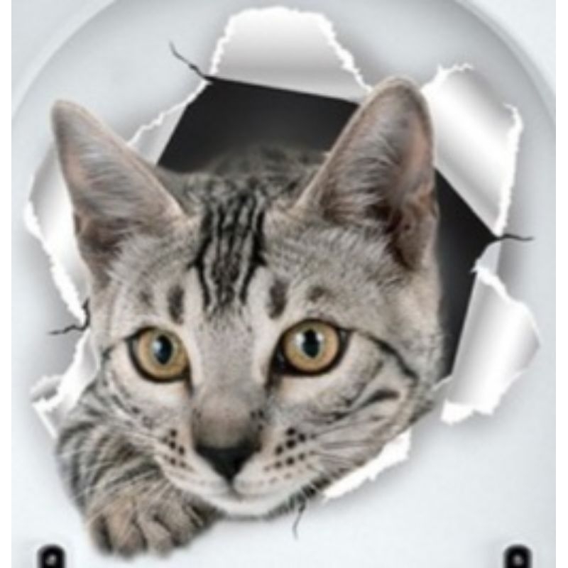 

stiker kucing lucu 3d, bahan vinil anti air, ukuran 20 cm