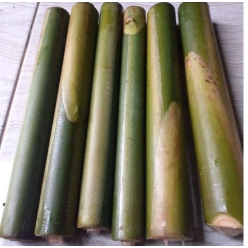 

batang kecombang 4batang 35cm