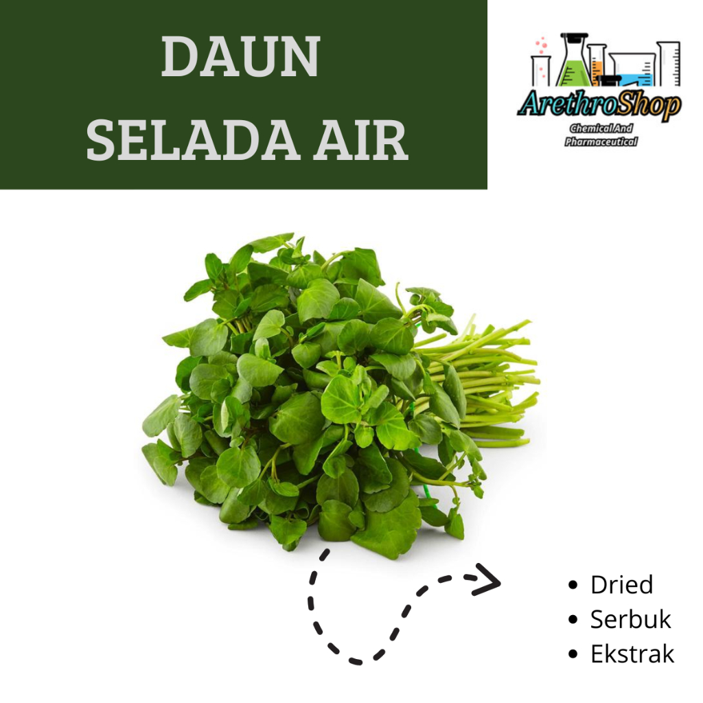

SERBUK DAN DRIED DAUN SELADA AIR BEST PRODUCT