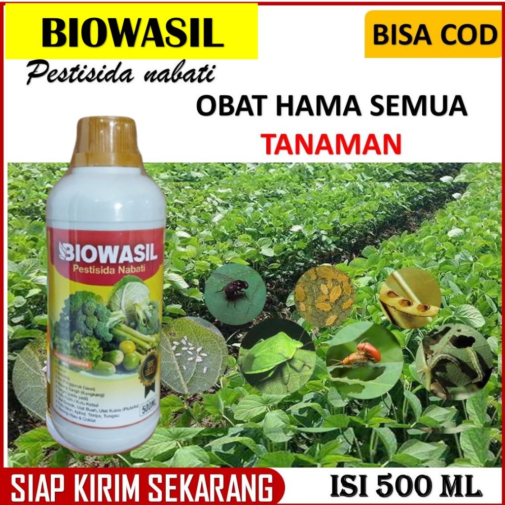 PESTISIDA ORGANIK BIOWASIL Obat Hama Lalat Buah, Walang Sangit, Kutu Putih/Kebul Untuk Segala Jenis 