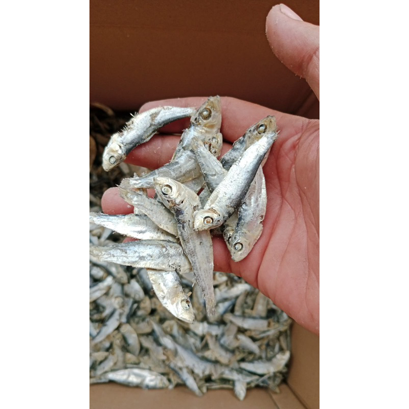 

Ikan asin kering rebus ikan asin campur ninis kmr harga 1 kg kualitas ekspor