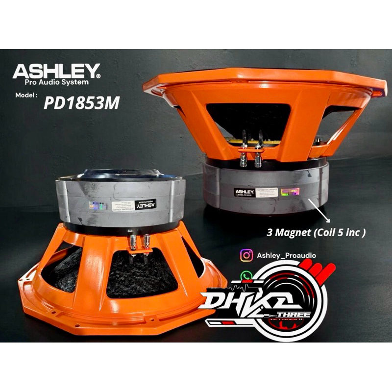 SPEAKER ASHLEY TRIPLE MAGNET ASHLEY PD1853M KAYU / Speaker Ashley PD 1853M triple magnet / Speaker A