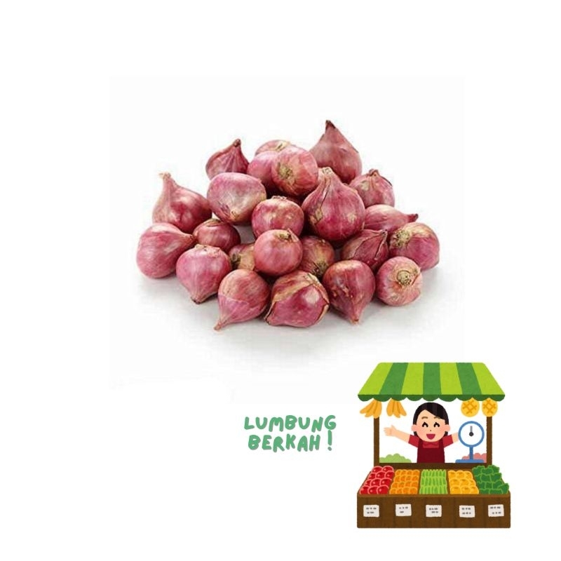 

bawang merah lokal bali karet super 1 kg petani langsung has jawa barat