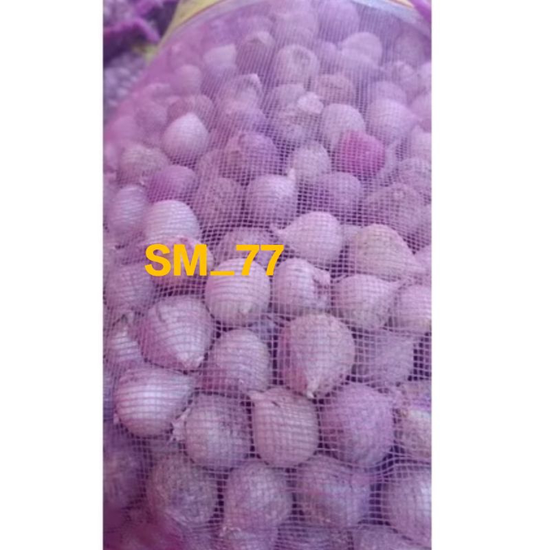 

Bawang Lanang 50gram | Bawang Putih Tunggal | Bawang Lanang