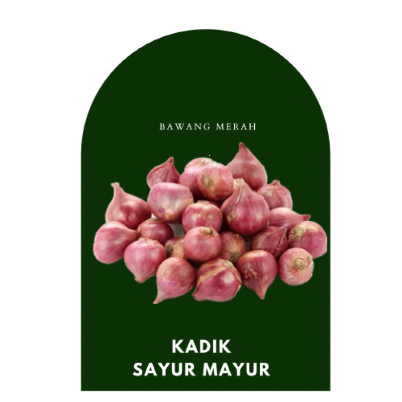 

KIRIM INSTANT BAWANG MERAH BANTUL JOGJA