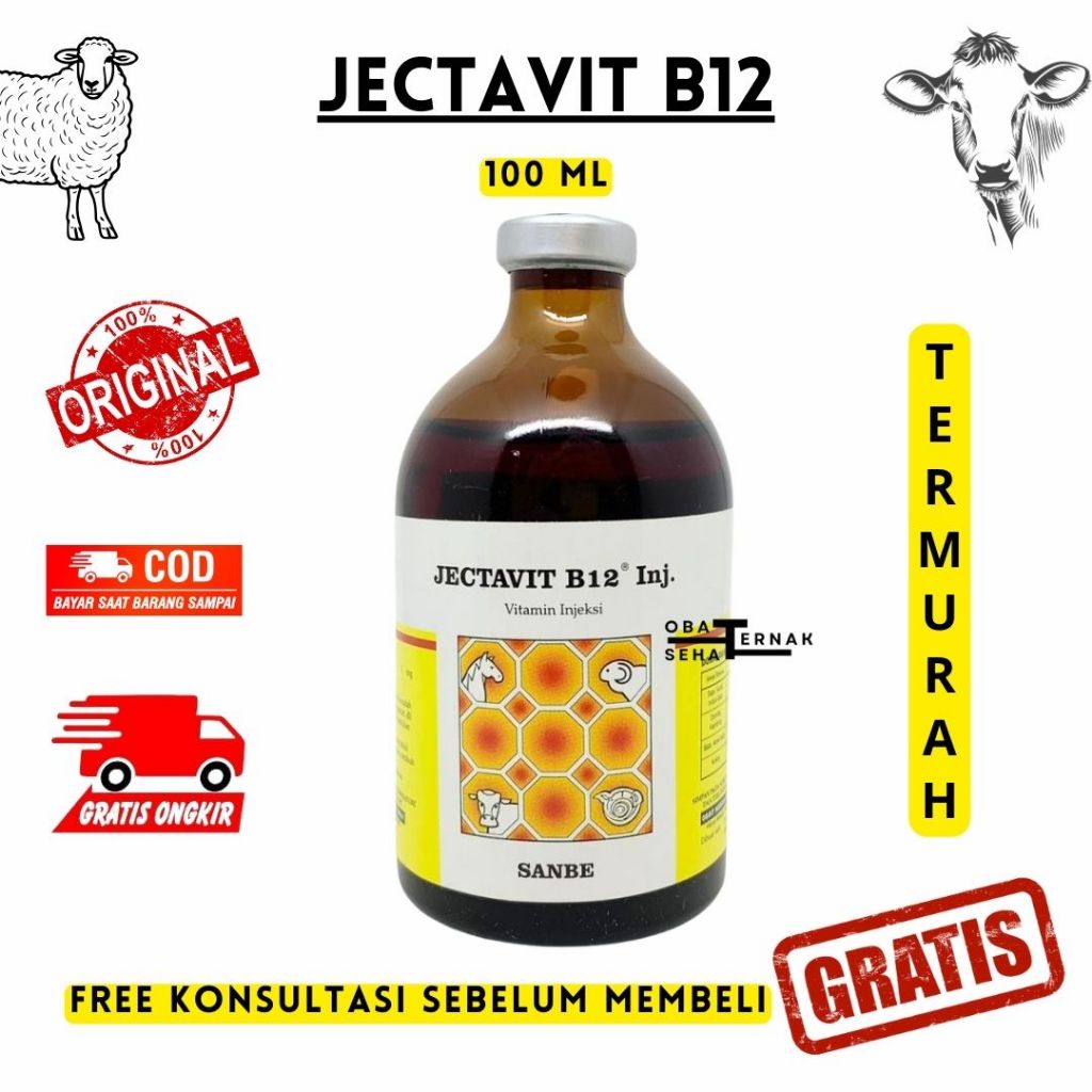 JECTAVIT B12 100 ml - Vitamin B12 Sapi Domba Kambing Kuda Babi Kucing