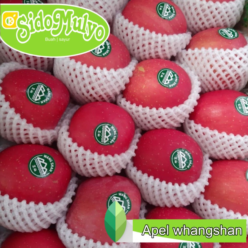 

Buah Apel Wangshan Super Premium (1Kg) | sidomulyo fresh