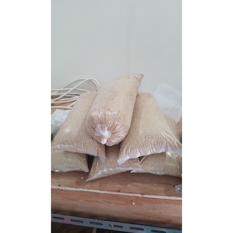 umpan ikan lele /pengumpul ikan GT lele kotoran hongkong