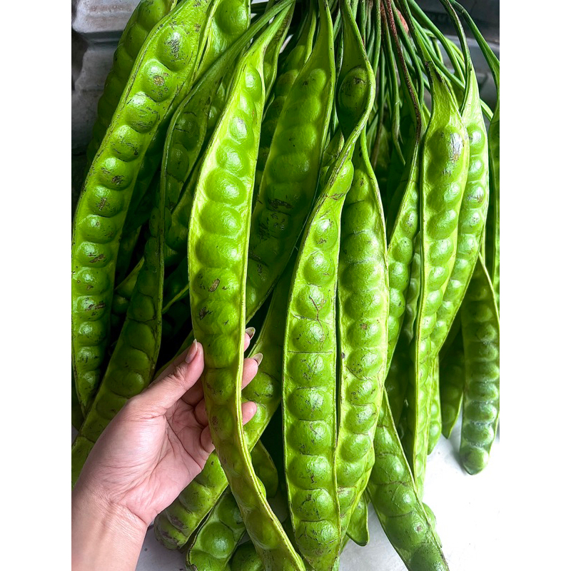 

Pete Segar Premium 1kg