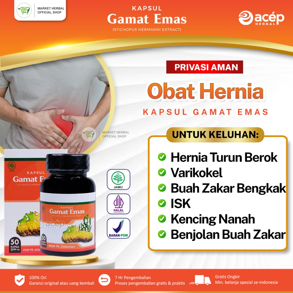 Obat Hernia Inguinalis/Femoralis, Turun Berok Pria dan Wanita, Buah Zakar Bengkak, Testis Bengkak/Ny