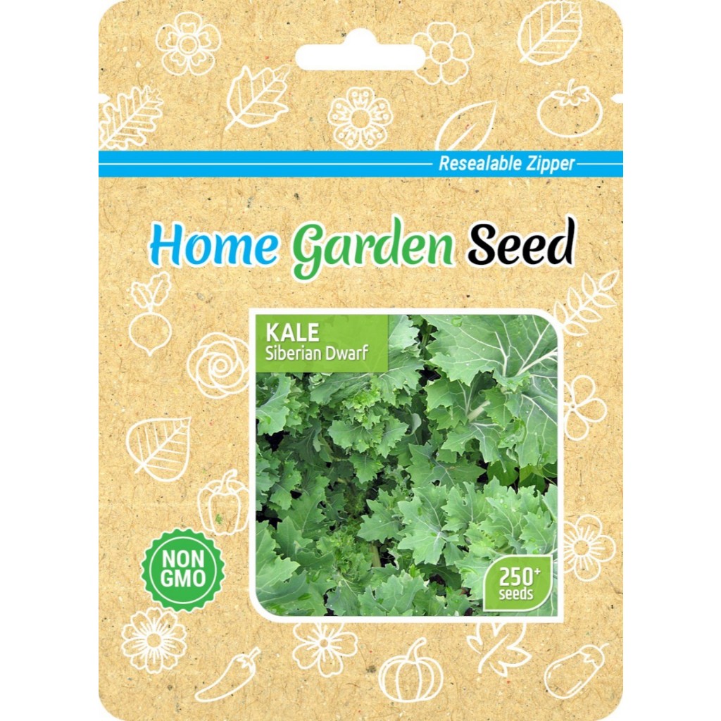 Benih Bibit Kale Siberian Dwarf - Home Garden Seed