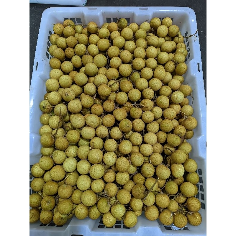 

Buah lengkeng 1 kg