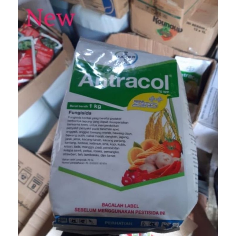 Fungisida Antracol 1 kg