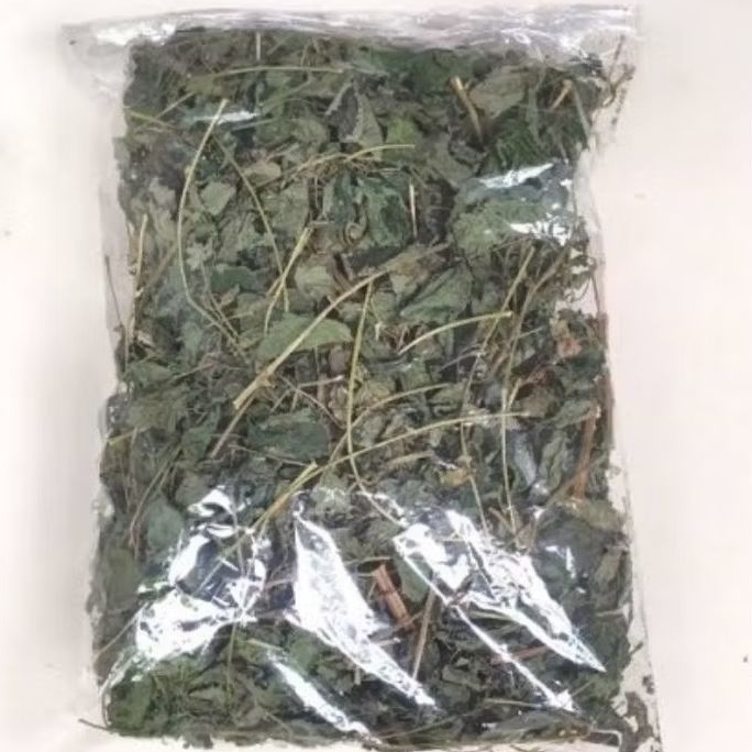 

Herbal teh jelatang / daun jelatang kering 100 gram