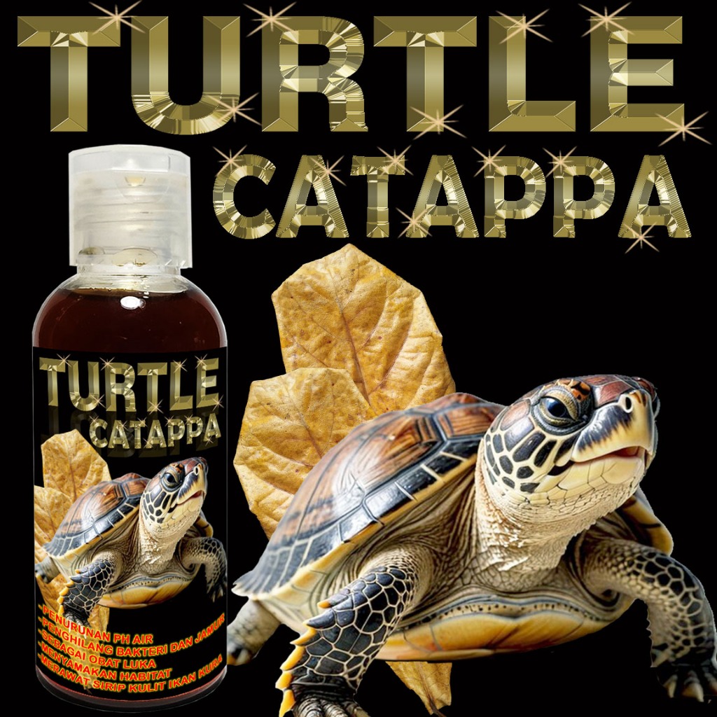 TURTLE CATAPPA OBAT ANTI JAMUR WHITE SPOT KURA-KURA AIR BRAZIL RES CST AST DAMER AMBON RAZOR MONBI P