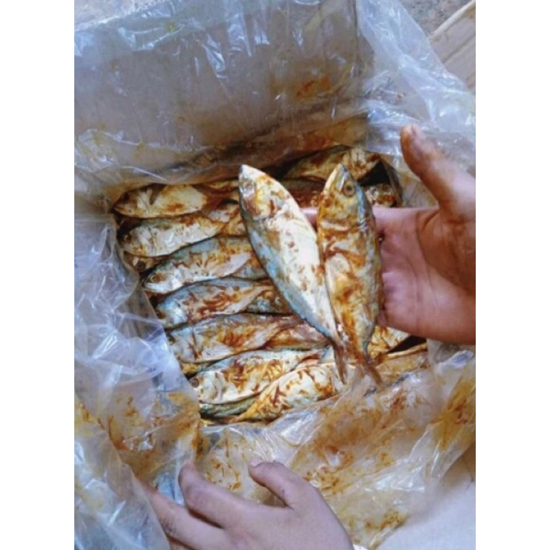 

Ikan Asin Peda Merah Ukuran Sedang Berkualitas Fresh