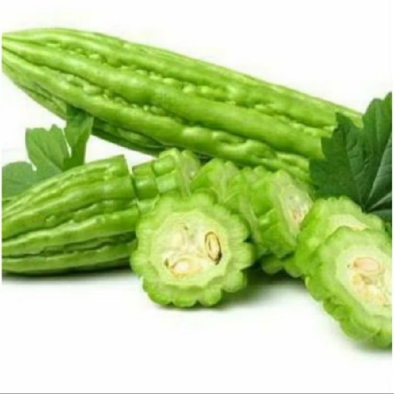 

biji benih paria pare Yunan isi 5 butir