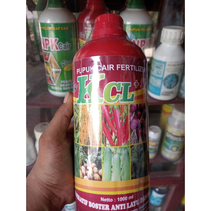 Pupuk Cair Fertilizer KCL Cair 1liter Pupuk Pembuahan