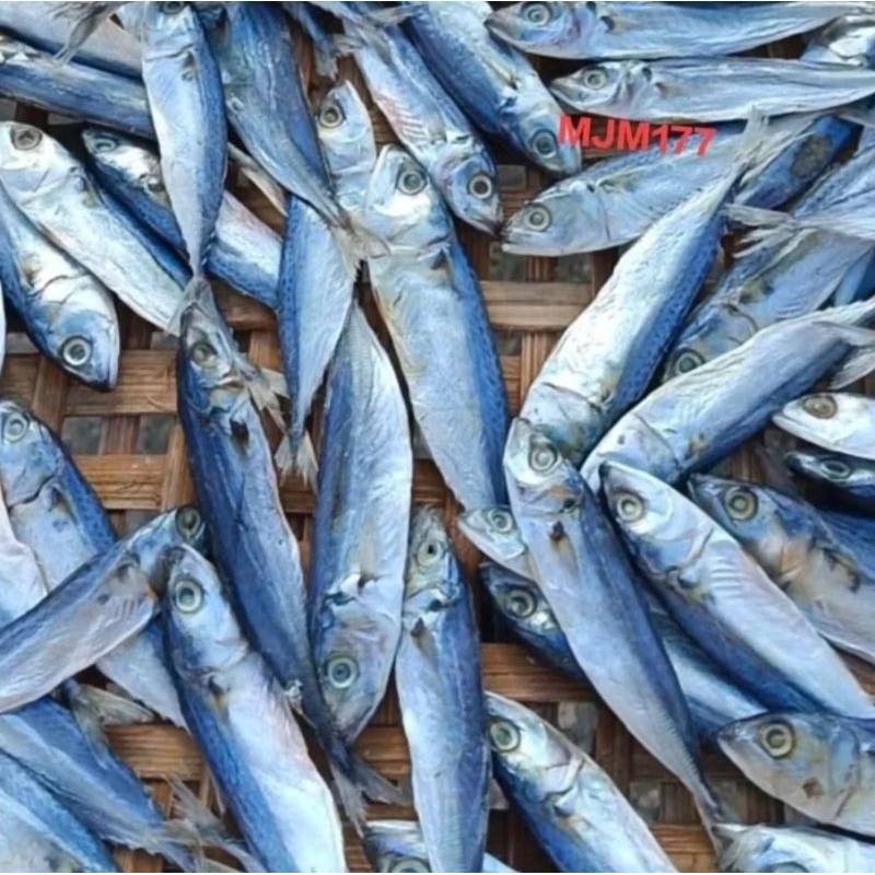 

ikan asin perkak Best seller Special Superan