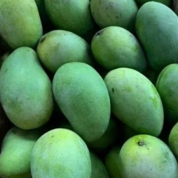 

ABBA - Mangga harum manis 1kg - 2kg