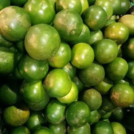 

ABBA - Jeruk peras fresh 500 gr - 1 kg