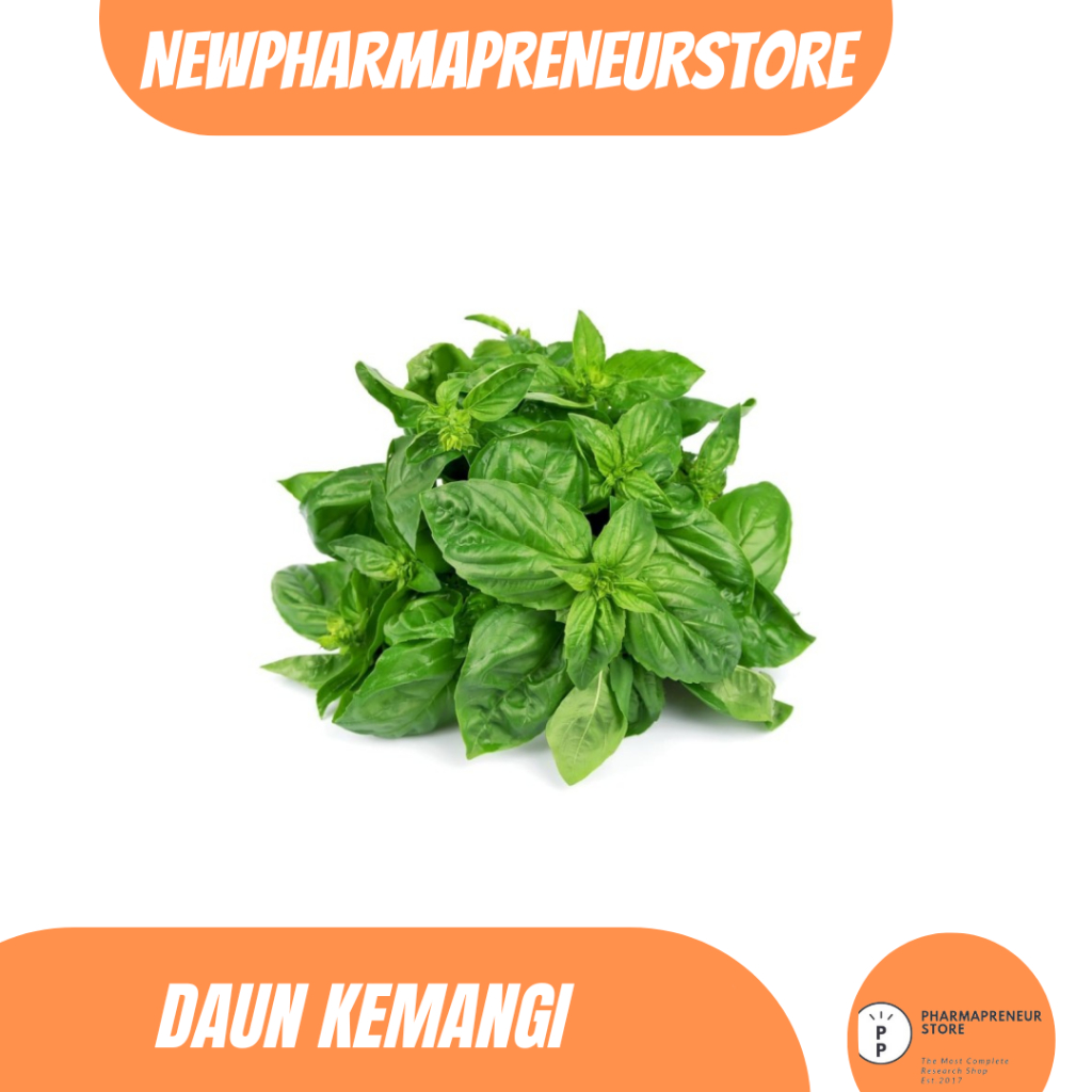 

EKSTRAK DAUN KEMANGI BEST QUALITY