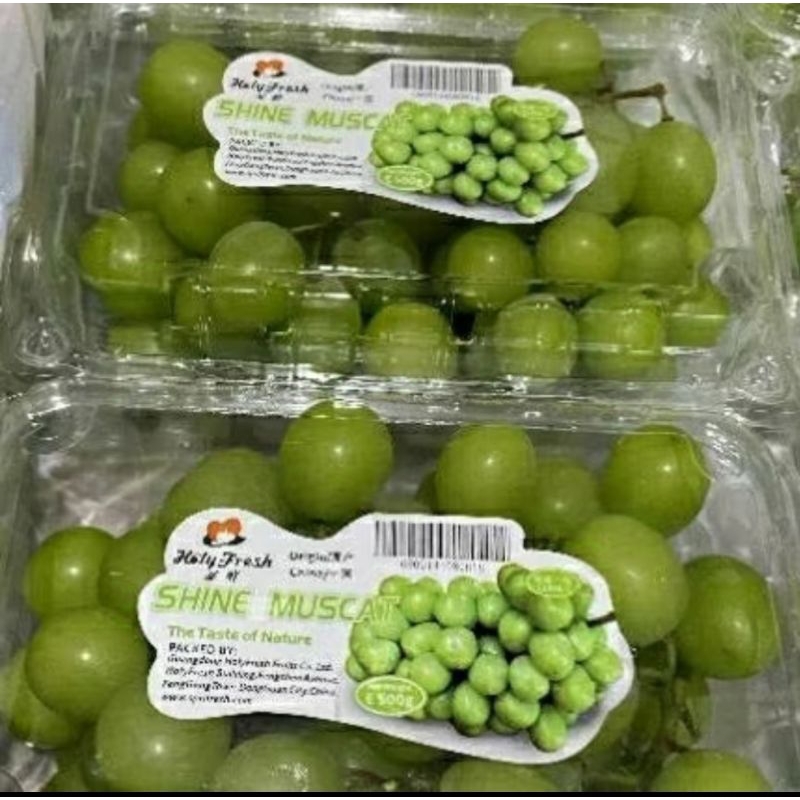 

ANGGUR SHINE MUSCAT PER PER PACK