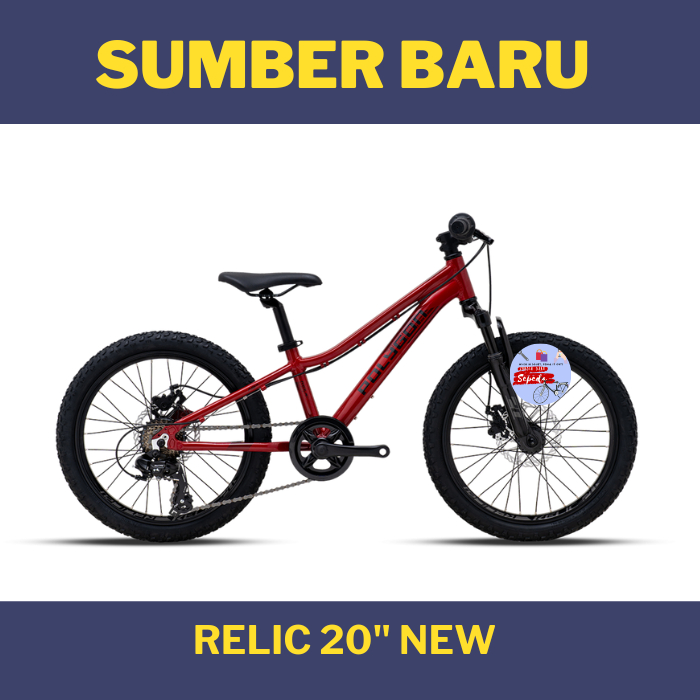 Sepeda MTB Polygon Relic Alloy 20 inch New