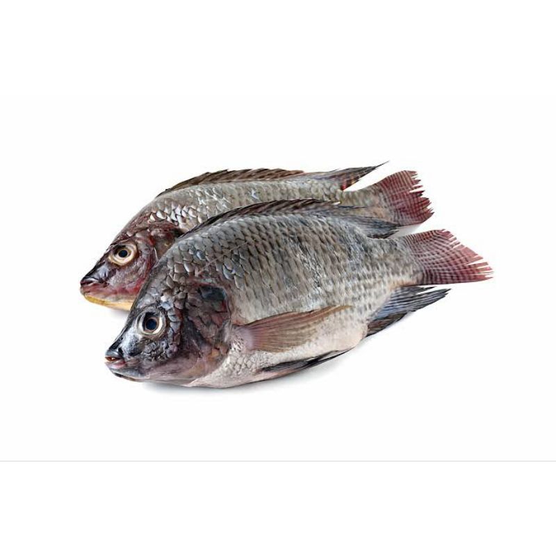 

Ikan Nila Segar / Berat 1 kg
