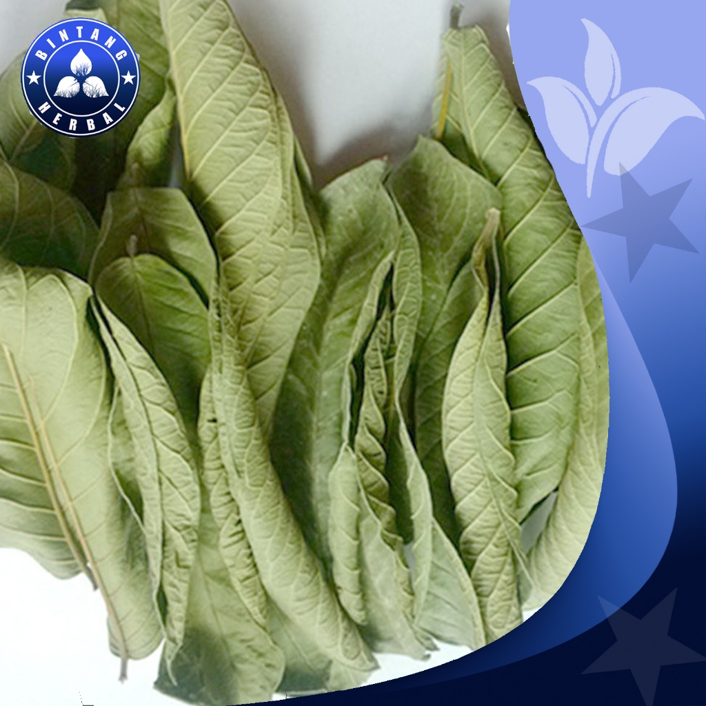 

DAUN JAMBU BIJI \ 100 GRAM - BINTANG HERBAL