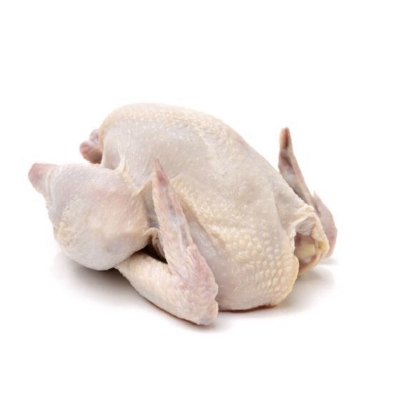 

Ayam Bolier Karkas