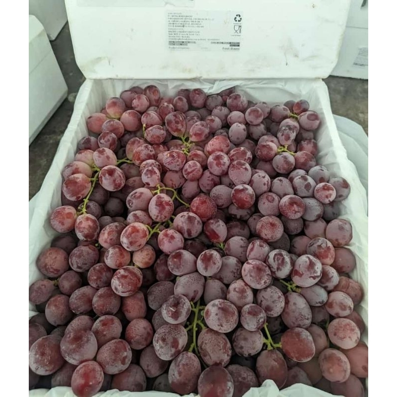 

1 Krat anggur red glob 6 - 7 kg