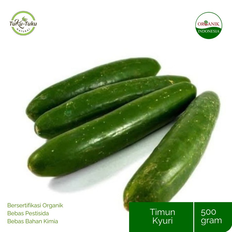 

TIMUN KYURI ORGANIK BSP FARM 500GR