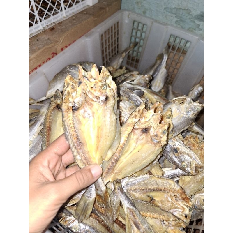 

gulamo halus 500 gram