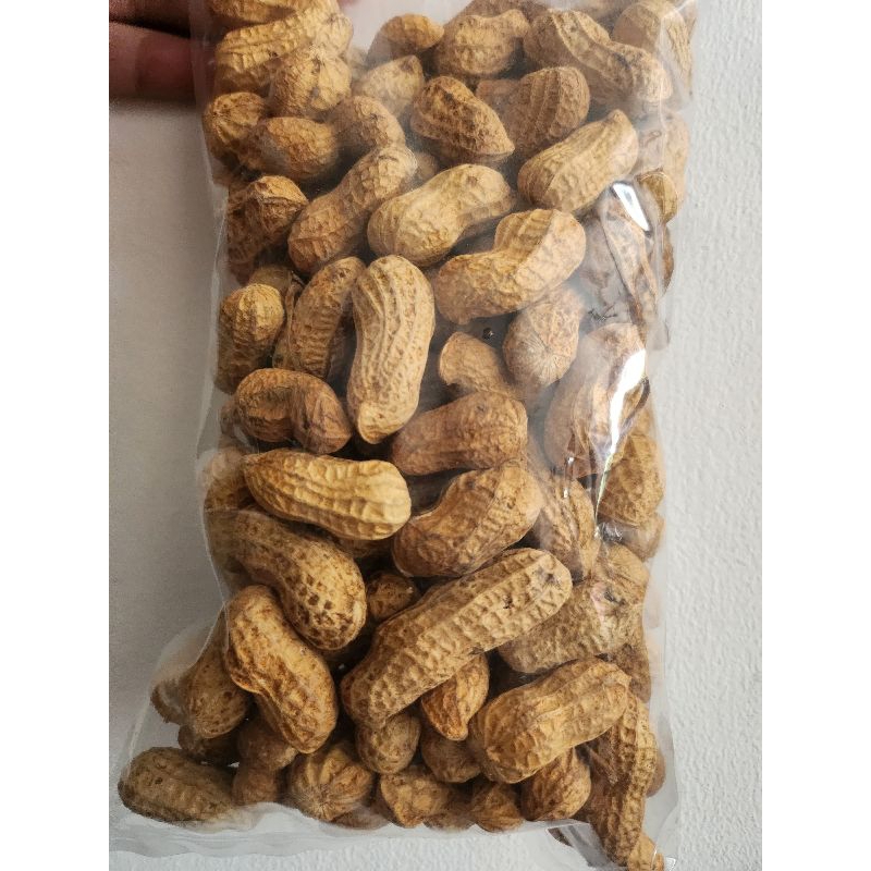 

Kacang sangrai pasir