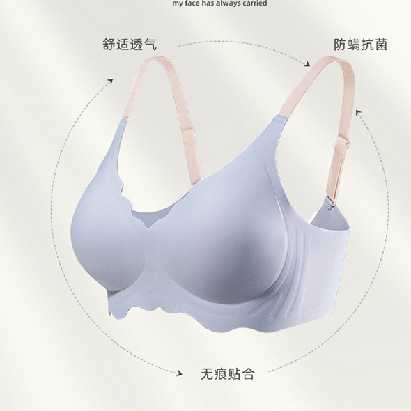 BH BRA SEAMLESS KOREA 402 HANABRA