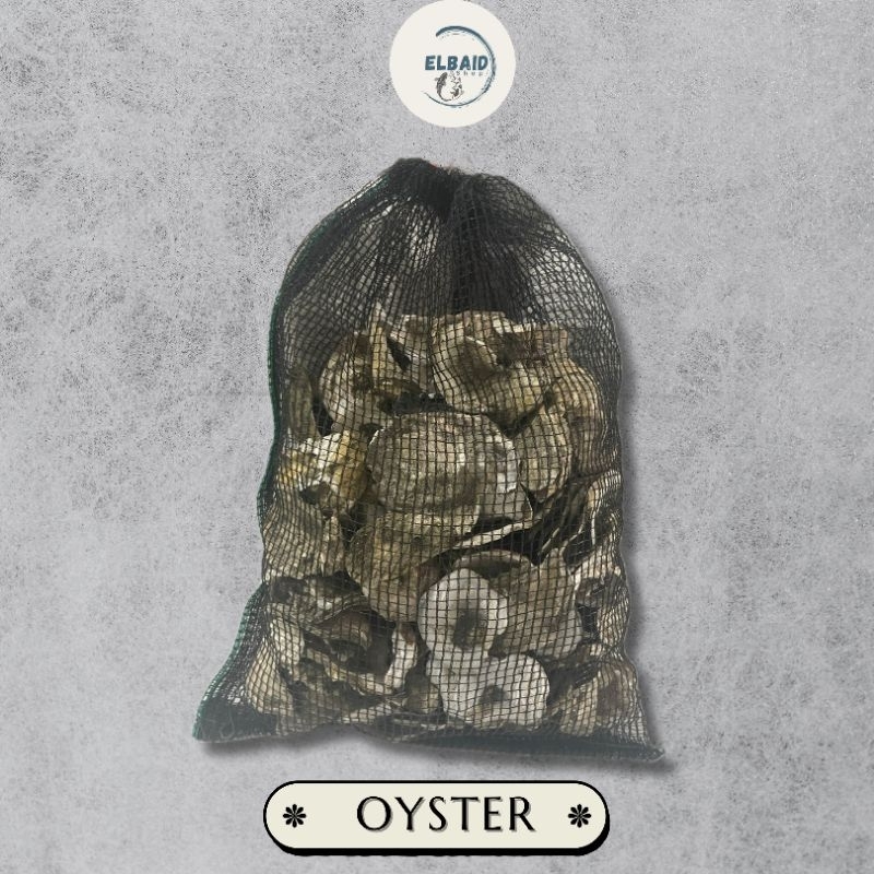 Media Filter Kulit Kerang Oyster