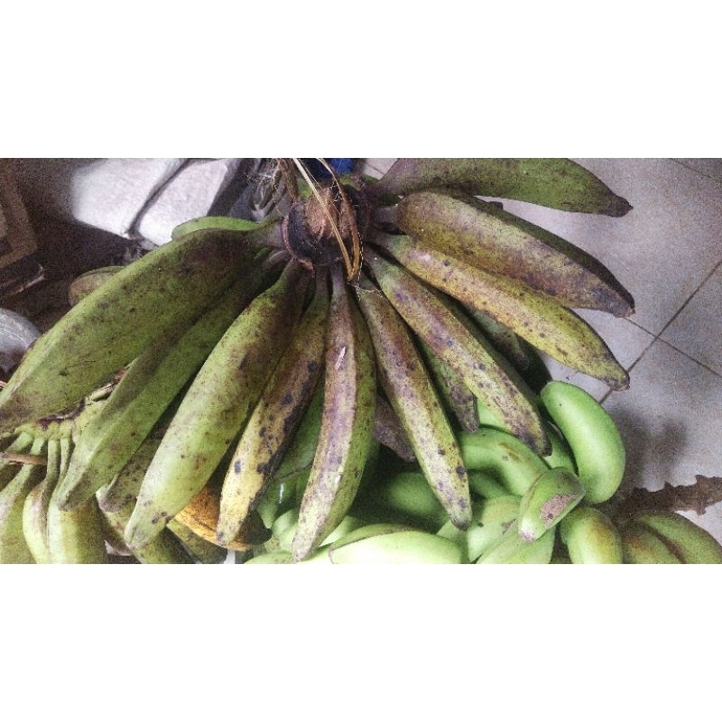 

pisang tanduk 1kg asli pangandaran